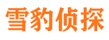 小金市侦探调查公司